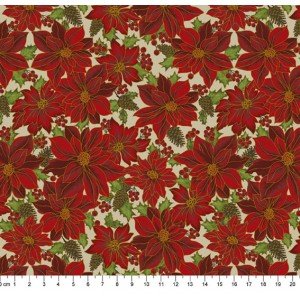 Natal Gold cor - 35 (Bege)